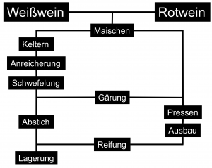 Herstellung Wein